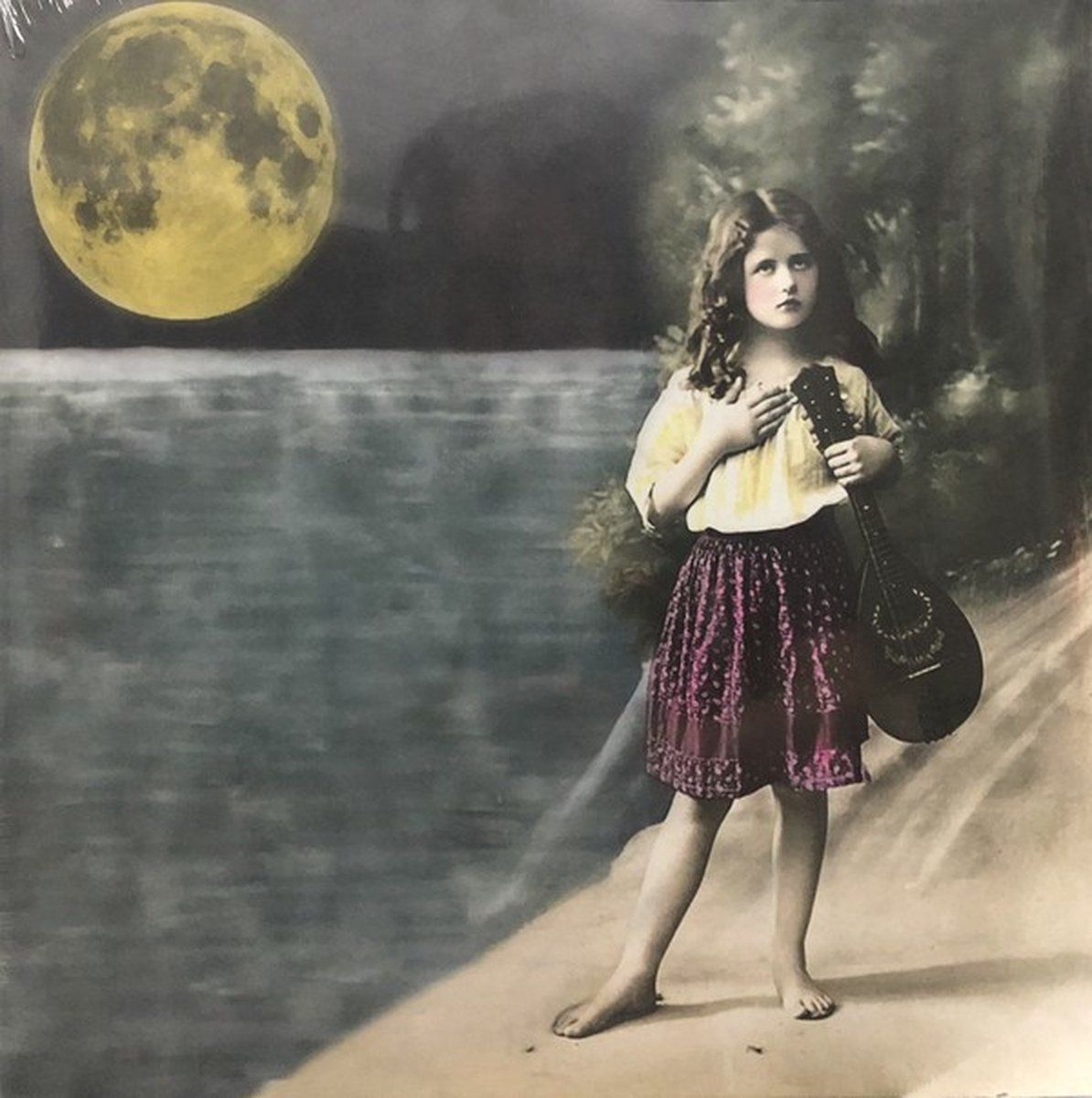 PIAS Nederland The Big Black And The Blue