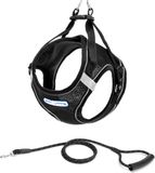 Nobleza Hondentuig met Riem - Hondenharnas - Y-Tuig - Reflecterend - Ademend Mesh - Verstelbaar - Maat L - Zwart