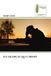 Les Editions Muse LES SILENCES QUI CIDENT Paperback 60 pages