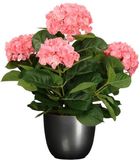 Mica Decorations Hortensia kunstplant/kunstbloemen 45 cm - roze - in pot titanium grijs glans - Kunst kamerplant