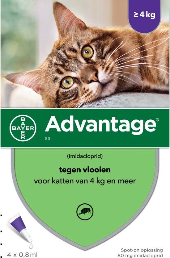 Bayer Advantage Kat 80 - Anti-vlooienmiddel - 4 x 0,8 ml - Meer dan 4 kg