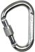Climbing Technology Snappy SG Karabijnhaak Grijs