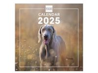 Finocam Internationale wandfotokalender 2025, 1 maand per pagina, januari 2025 – december 2025 (12 maanden), honden