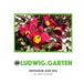 LUDWIG.GARTEN Instagram Jahr 2025