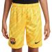 Nike FC Barcelone Short de gardien enfant 2024/25