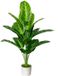Ibenzoa® Palmier artificiel pour décoration intérieure dans un pot élégant en plastique de 80 cm de haut