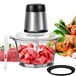 Mélangeur et hachoir électriques - Robot de cuisine 3000W - Bol en verre de 2 litres - 2 vitesses - Lames en acier inoxydable - Convient pour un usage domestique