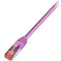 Wirewin - Verbindingskabel - RJ-45 (M) naar RJ-45 (M) - 30 m - STP - CAT 6 - afgeschermd - magenta