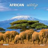 African Wildlife Kalender 2027