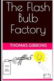 The Flash Bulb Factory: An Unusual Small-Town Science Fiction Mystery