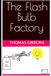 The Flash Bulb Factory: An Unusual Small-Town Science Fiction Mystery