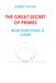 THE GREAT SECRET OF PRIMES: NOW EVERYTHING IS CLEAR: The great mystery of prime numbers has been solved!