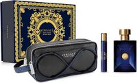 Versace Dylan Blue / 110 ml / Men