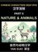 Chinese Characters Deep Dive Chinese Characters for Nature & Animals, A Complete Guide to Learning Mandarin Vocabulary, Verbs, Idioms, and Proverbs Related to the Natural World