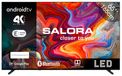Salora SMART65TV / LED-LCD screen / 65 inch / 2023