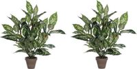 Mica Decorations Dieffenbachia Kunstplant - Groen - 70 cm - 2 stuks
