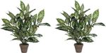Mica Decorations Dieffenbachia Kunstplant - Groen - 70 cm - 2 stuks