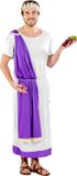 dressforfun Herenkostuum Keizer Marcus Aurelius M