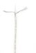 Nedis Coaxkabel op Haspel - Mini Coax - Dubbel Afgeschermd - ECA - 20.0 m - Coax - PVC - Wit