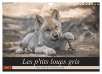 Les CALVENDO Les p'tits loups gris (Calendrier mural 2027 DIN A4 vertical), CALVENDO calendrier mensuel: Petit loup deviendra grand ...