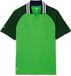Lacoste Daniil AO 2024 Polo Grün M