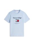 TOMMY HILFIGER Chemise bleu marine / bleu clair / rouge vif / blanc
