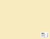 APLI 14255 Ivory Cardstock 50 x 65 cm 170 g 25 vellen