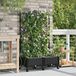 Maison Exclusive - Deux jardinières pour fleurs avec système d'arrosage et roues, en plastique PP noir