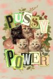 Marie-Chantal Puzzle 1000 pièces Force de chat pour adultes
