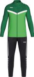 Jako Iconic Polyesterpak Heren - Zachtgroen / Sportgroen | Maat: M