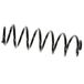 SKF Fahrwerksfeder VKDL31028 Hinterachse | Compatibel met: VW GOLF IV, NEW BEETLE