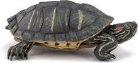 Papo Wild Life Florida-schildpad 50309