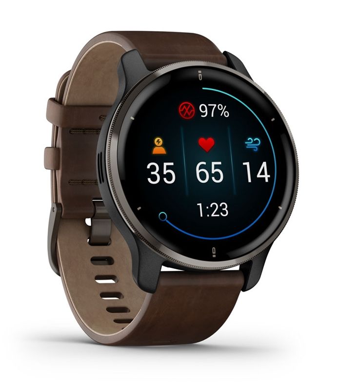 Garmin Venu 2 Smartwatch - AMOLED - GPS - Zwart/Grijs