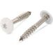 Vis De Façade Torx T20 4.8x32 Diamètre De Tête: 12.3 Inox A2 Ral9010 Blanc Pur-10 Pièces