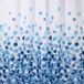 Gedy Gordijn, 120 x 200 cm, Dotty, wit-blauw