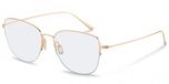 Rodenstock R7132 Gold 55/16/145 UNISEX Brilmonturen