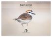 Esprit Calvendo Esprit animal - Regards minimalistes (Calendrier mural 2027 DIN A3 vertical)