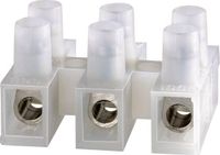 Adels-Contact 123312 Kroonsteen Flexibel: -2.5 mm² Massief: -2.5 mm² Aantal polen: 12 1 stuk(s) Natuur