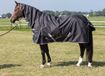 Harry's Horse Regendeken Thor 0gr. met nek Stretch limo 185cm
