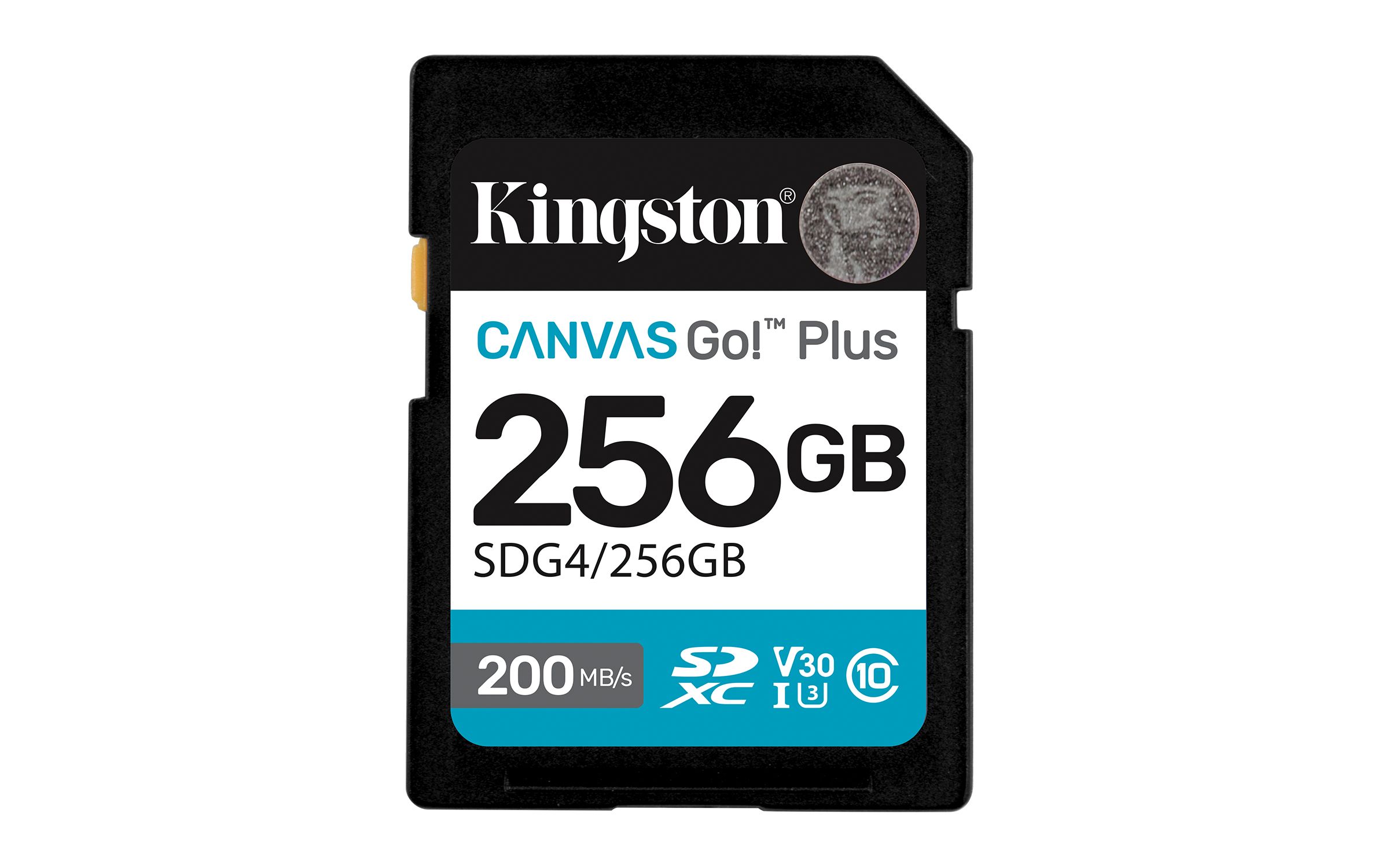 Kingston Technology Kingston Canvas Go Plus - Geheugenkaart - 256GB