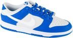 Nike Dunk Low Mannen Grijs Sneakers maat 38,5