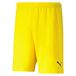 PUMA Unisex Kids Teamrise Short Jr Shorts