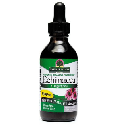 Natures Answer Echinacea extract 1:1 alcoholvrij 1000 mg 60ML