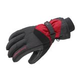 Salomon X-Wing GTX heren handschoen