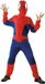 Haza Spiderman Spinnenheld verkleedkleding kostuum - voor kinderen - Superhelden - Carnaval - Jumpsuit 110/122