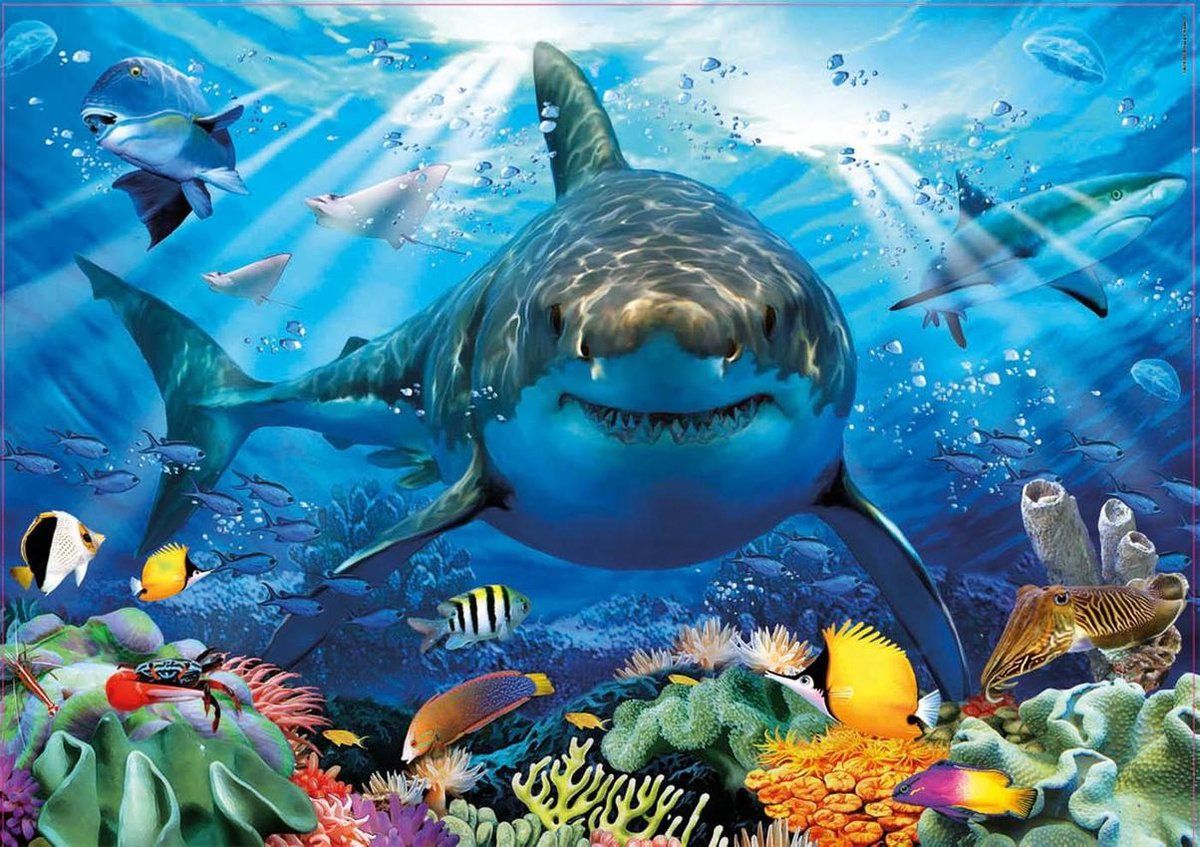 Educa Panda Educa Great White Shark 500 Pieces
