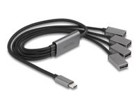 DeLOCK 64210 interface hub USB 2.0 Type-C 480 Mbit/s Zwart, Grijs