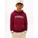 Tommy Hilfiger Kapuzensweatshirt Regular fit, für Kinder bis 16 Jahre