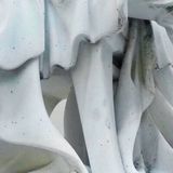 Hyper ISYSXAE - Hyper Nature (CD)