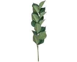 Buitengewoon Boet Kunst hortensia tak donkergroen 71 cm